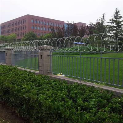 铁路围墙滚笼网 刀片刺丝滚笼与防爬隔离栅的综合解析